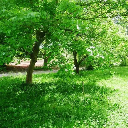 Ferienwohnung Im Gruenen Gottenheim Exterior photo