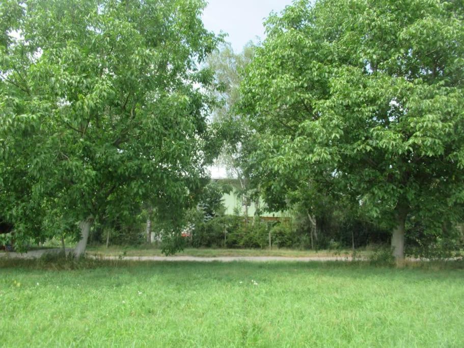 Apartment Im Gruenen Gottenheim